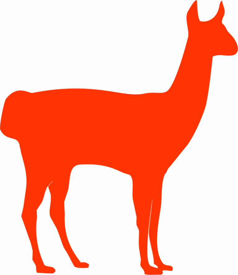 Lama29